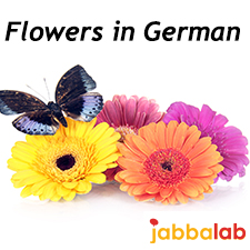 German Vocabulary - Flowers and Garden
