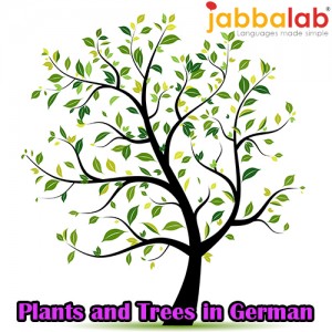 German Vocabulary - Plants and Trees